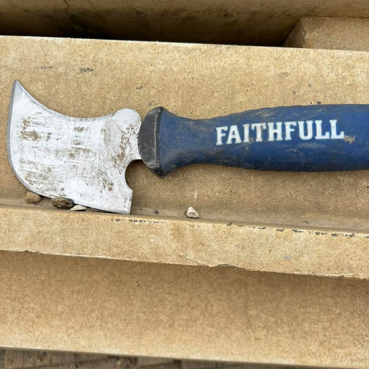 Dogs sniffinh out knife:blade