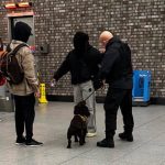 Knife Detection Dogs London