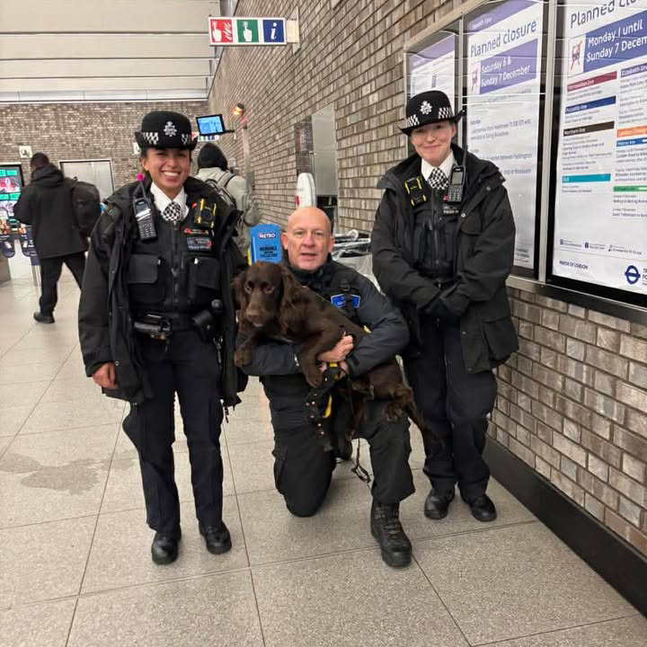 Knife Detection Dogs in London station