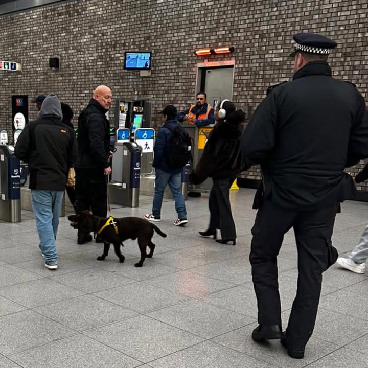 Knife Detection Dogs in London train station
