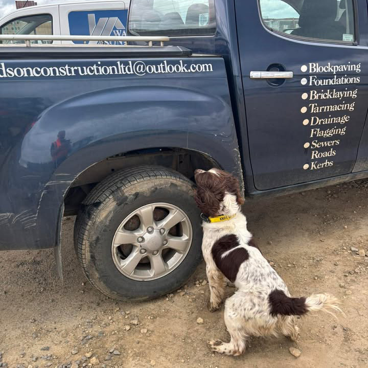 Knife detection dog on contruction site